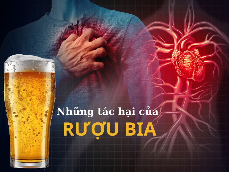 Rượu bia gây bệnh tim mạch