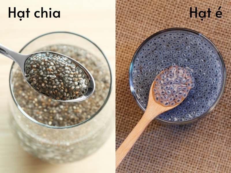 Thời gian ngậm nước của hạt chia và hạt é