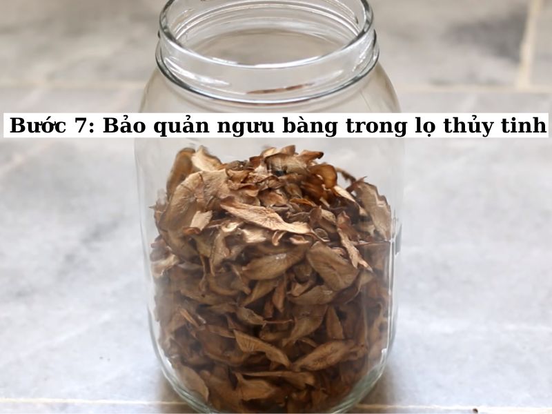 Cho ngưu bàng vào lọ thủy tinh để bảo quản