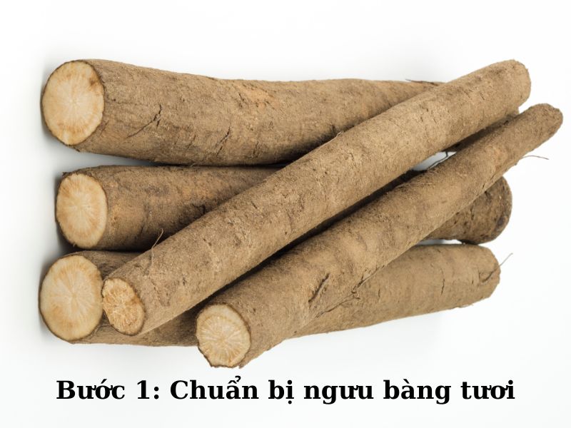 Chuẩn bị ngưu bàng tươi