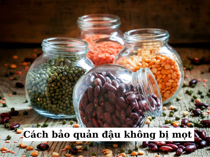 Bảo quản đậu không bị mọt trong hũ thủy tinh