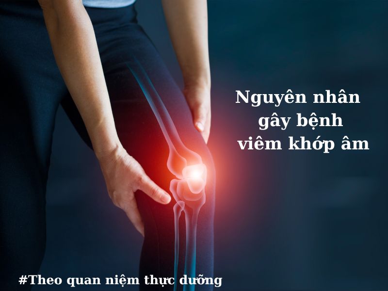 Nguyên nhân gây bệnh viêm khớp âm