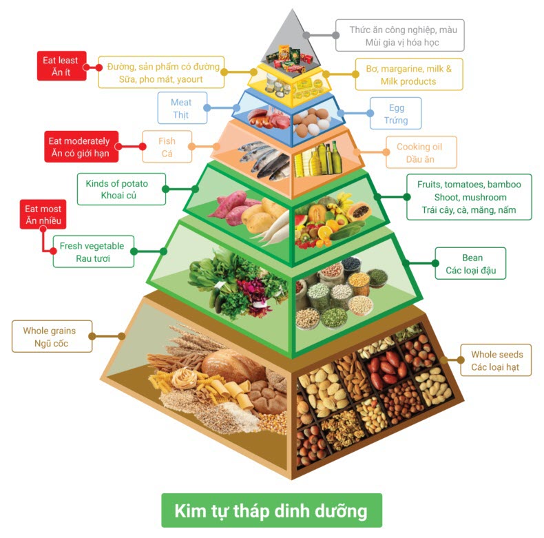 Áp dụng thực dưỡng hiện đại cho người mới bắt đầu