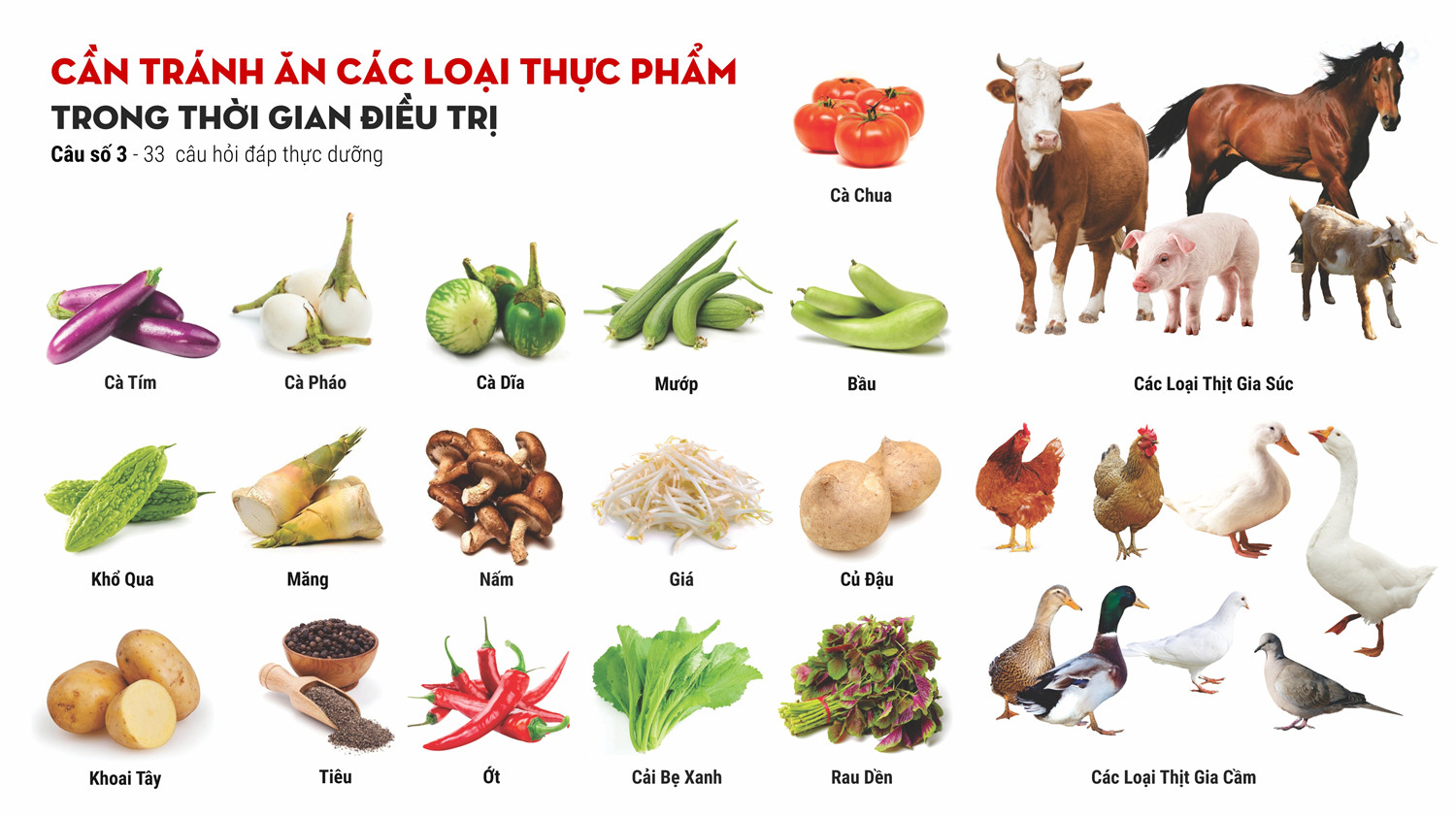 Thức ăn cần tránh trong câu số 3