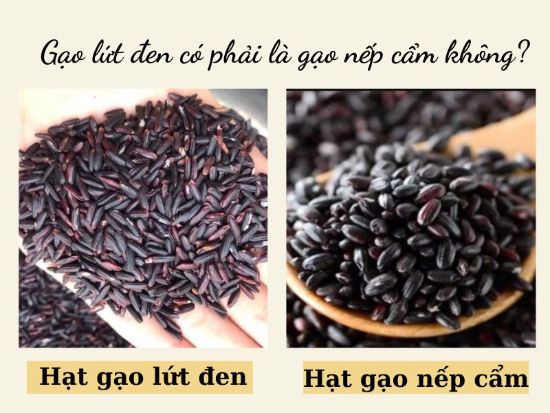 Gạo lứt đen có phải là gạo nếp cẩm không?