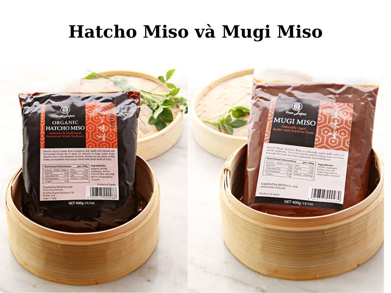 Gia vị Nhật - Tương Miso