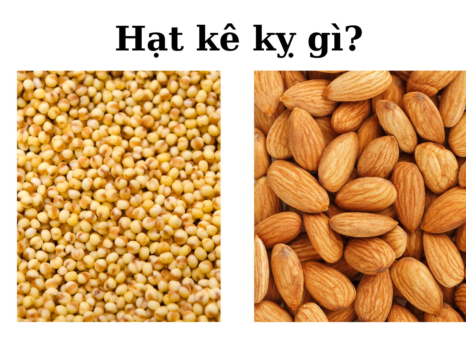 Hạt kê kỵ gì?