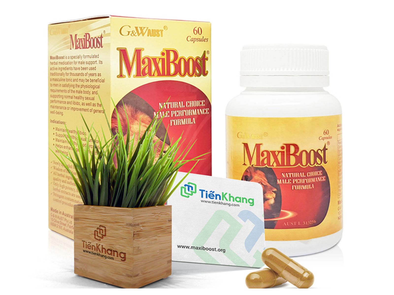 Thảo dược MaxiBoost