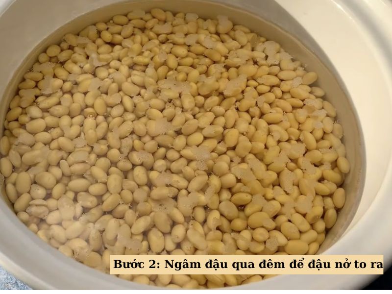 Bước 2: Ngâm đậu qua đêm đến khi nở to