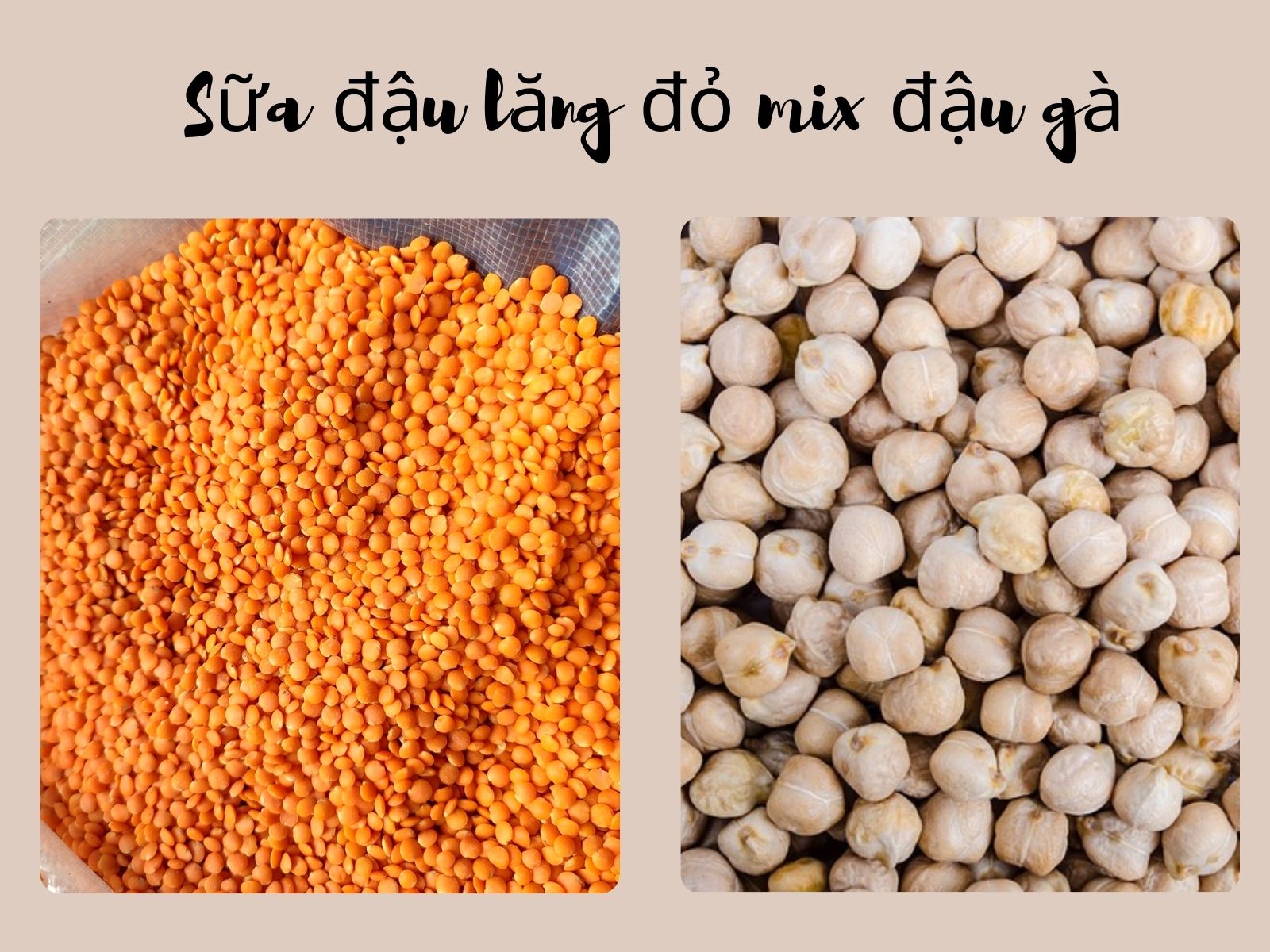 Sữa đậu lăng đỏ mix đậu gà