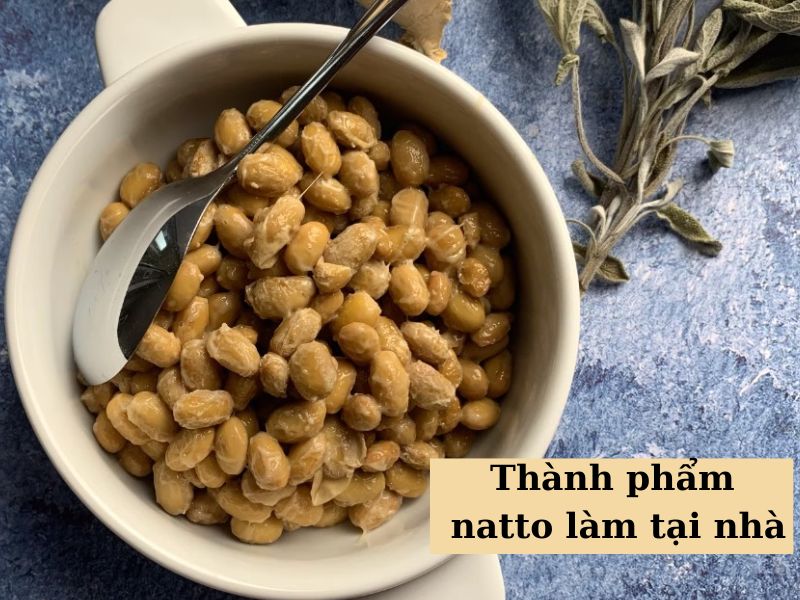 Thành phẩm natto làm tại nhà