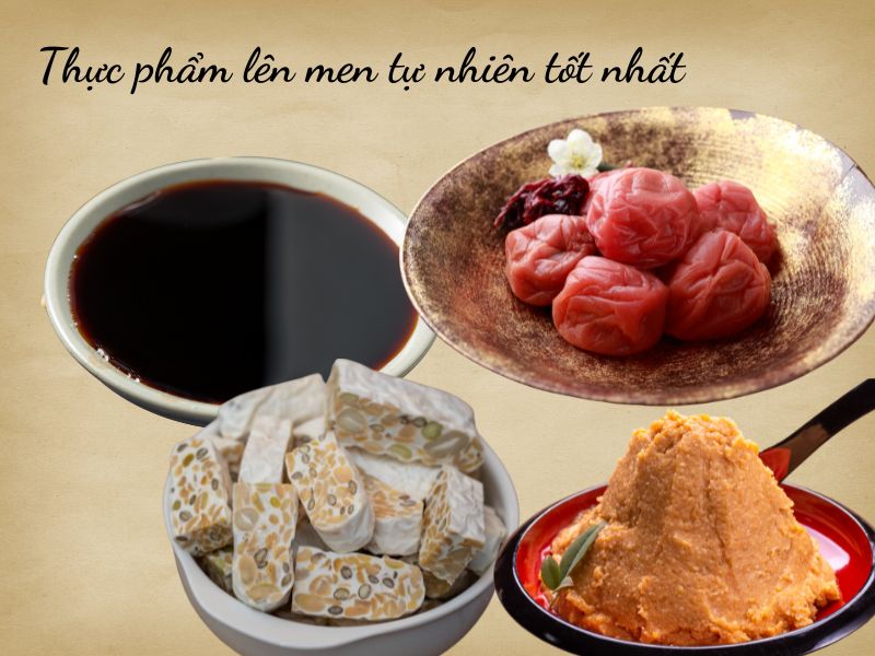 Thực phẩm lên men tự nhiên tốt nhất cho sức khỏe