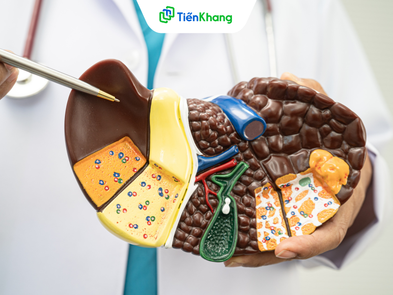 Nguy cơ Aflatoxin đến gan