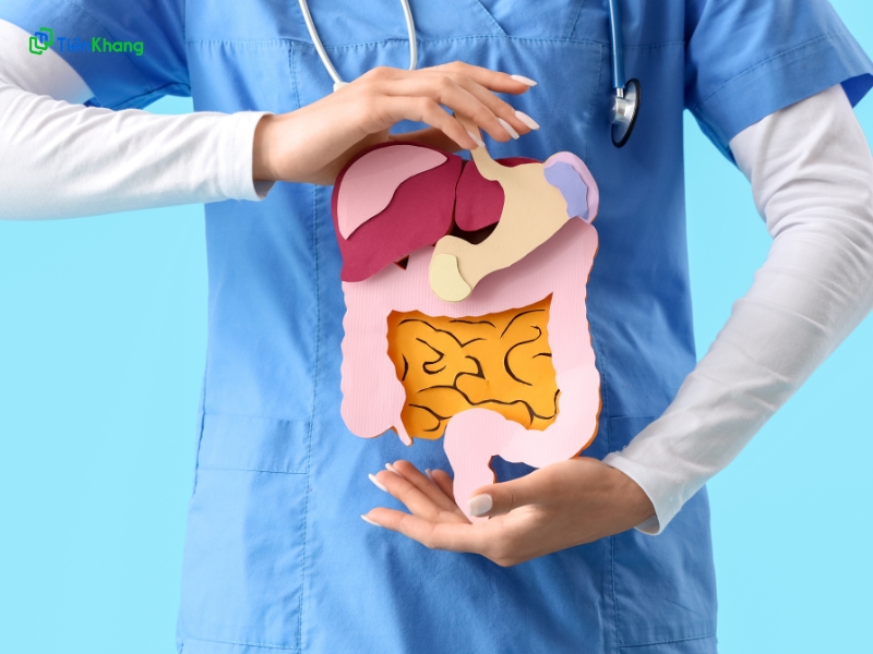 Hỗ trợ hệ tiêu hóa