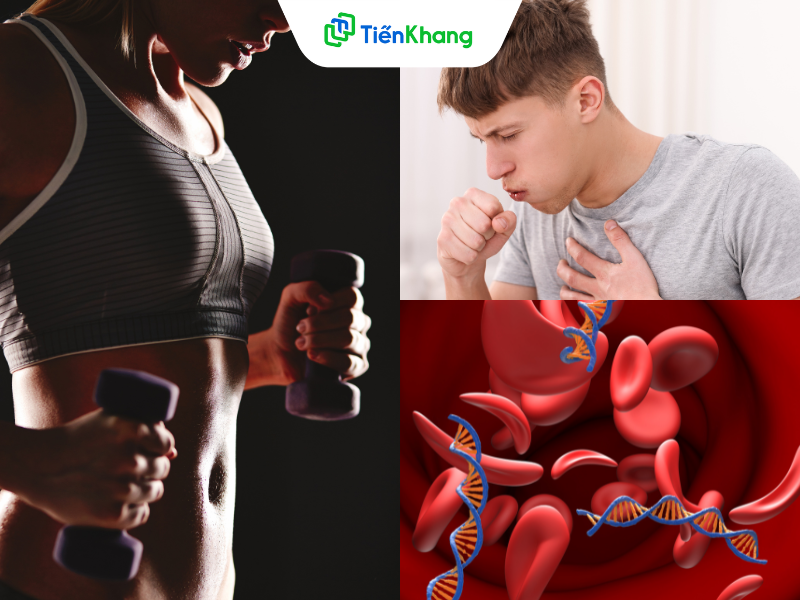 Đường phèn có tác dụng gì?