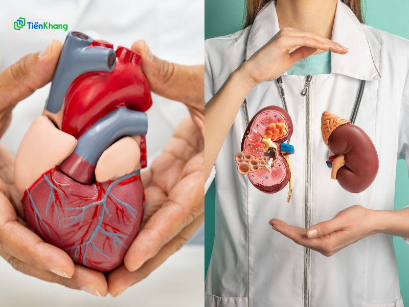 Dùng nhiều muối ăn có thể tạo áp lực lớn lên hệ tim mạch và thận