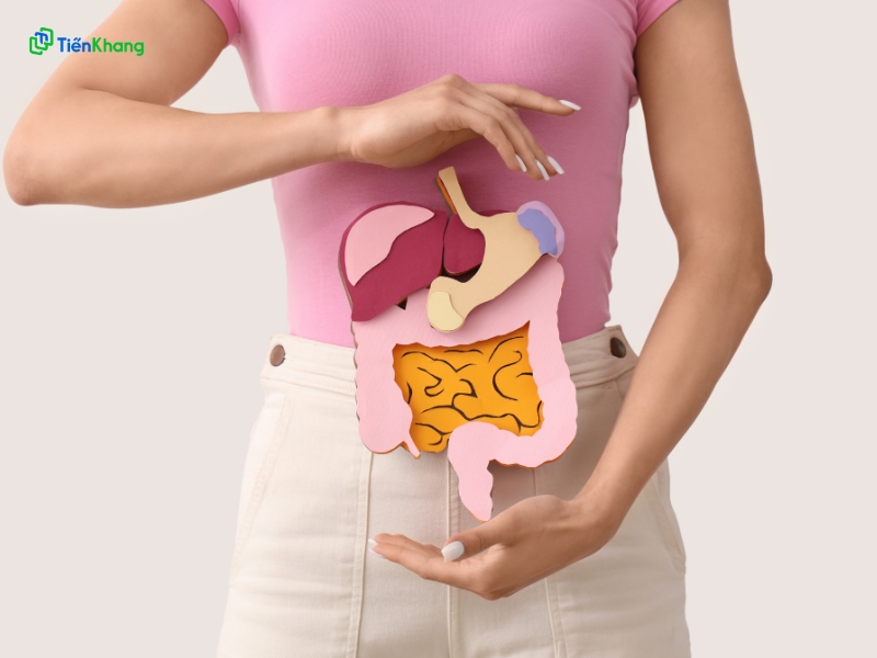 Cung cấp chất xơ hỗ trợ tiêu hóa