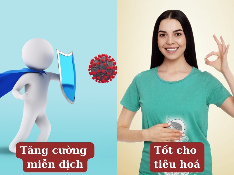 Những tác dụng của táo đỏ ngâm mật ong