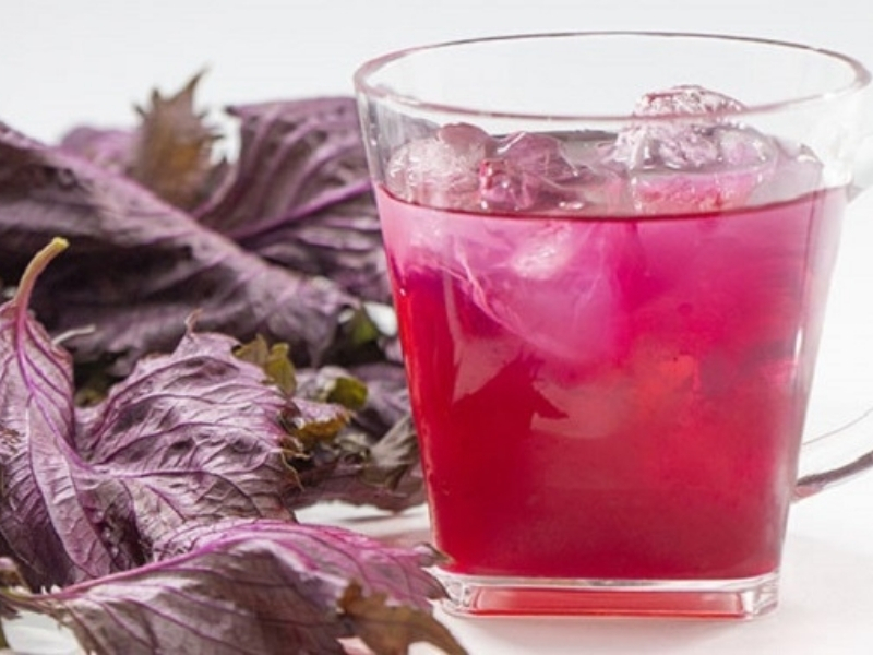 Uống nước lá tía tô