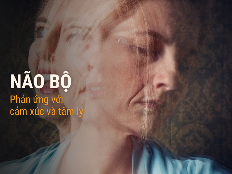 Vì sao não bộ là nơi sản sinh ra nhiều bệnh tật?