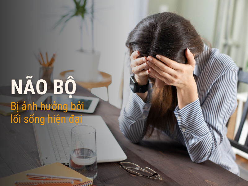 Vì sao não bộ là nơi sản sinh ra nhiều bệnh tật?