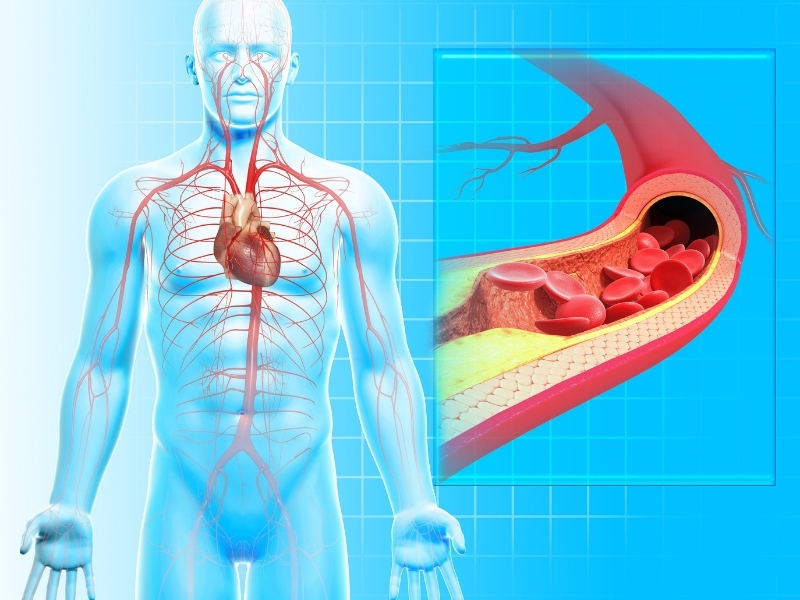 Nâng cao sức khoẻ tim mạch 