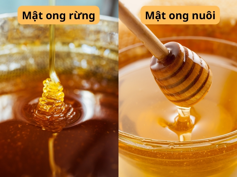 Quan sát bề mặt mật ong 