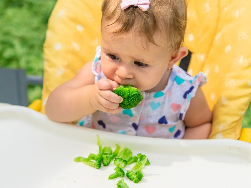 Vai trò của chất xơ đối với trẻ em 