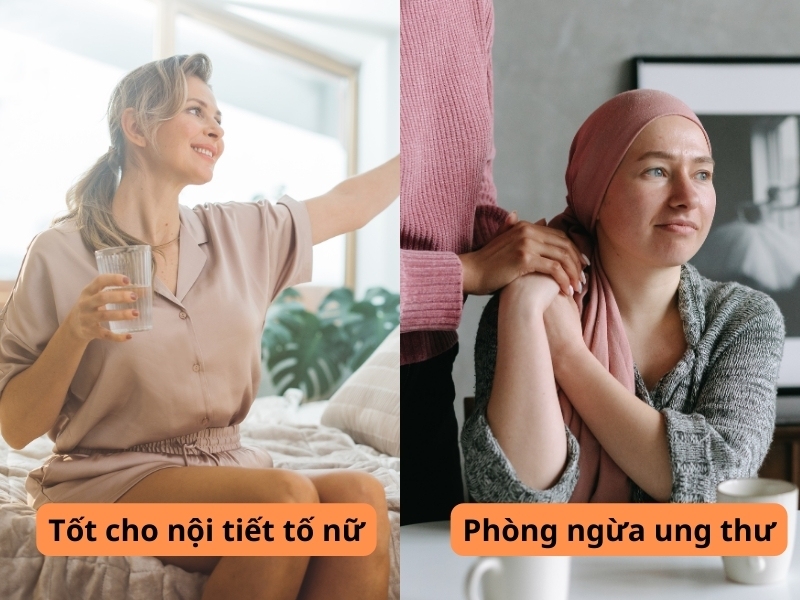 Công dụng của trà cam thảo