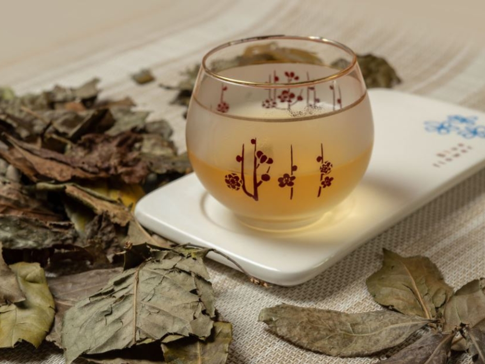 Trà Bancha - Lá trà già từ 3 năm