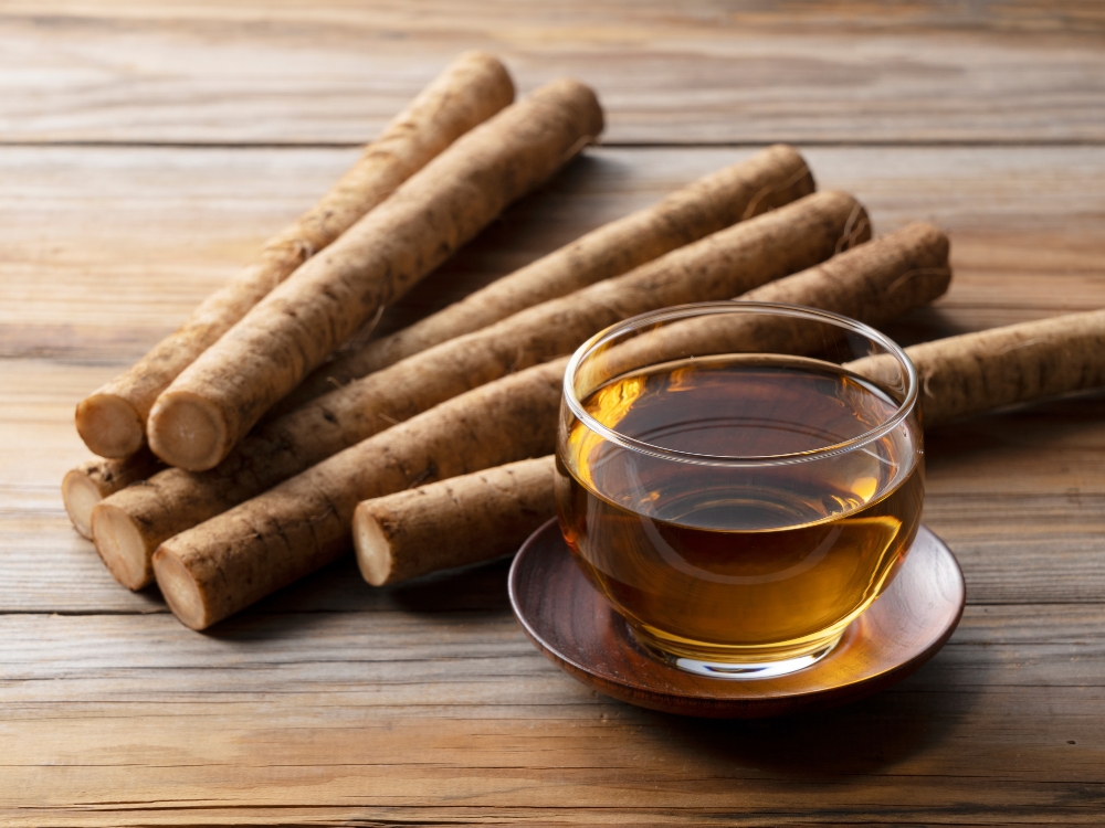 Trà Gobocha – Trà rễ cây Ngưu Bàng