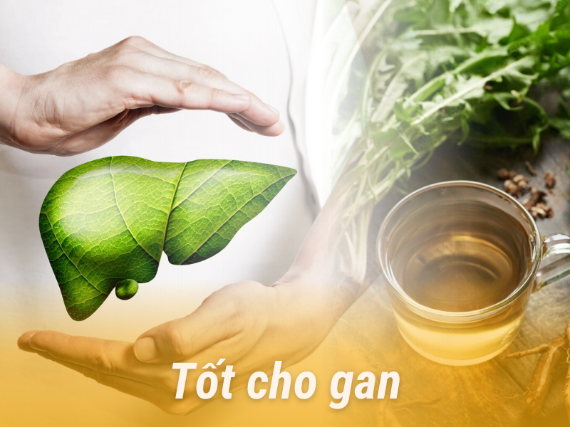 Tốt cho gan 