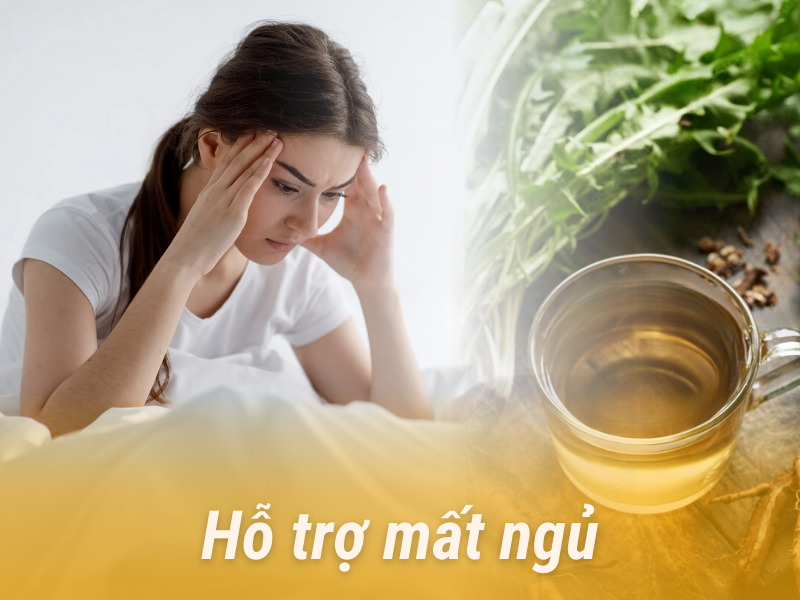 Hỗ trợ mất ngủ 