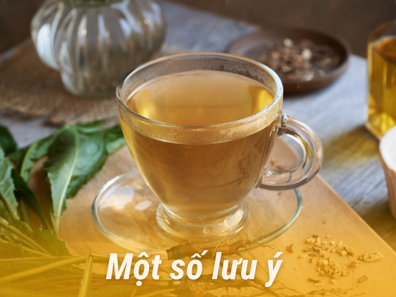 Một số lưu ý khi uống trà rễ bồ công anh 