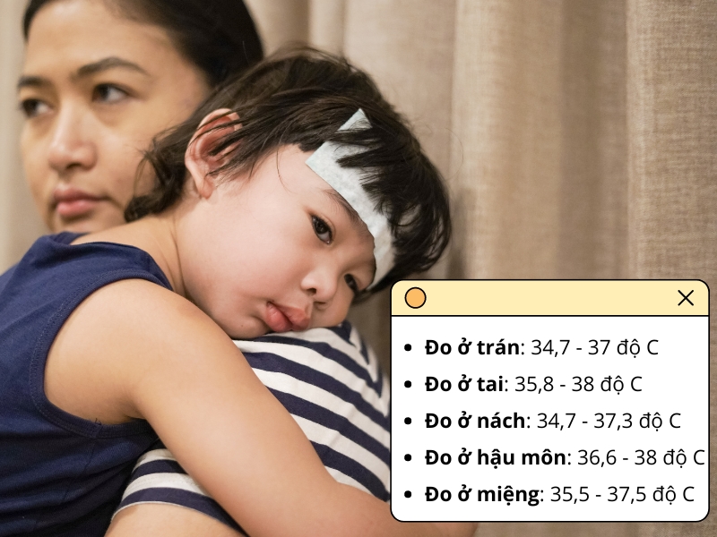 Nhiệt độ của trẻ sơ sinh bao nhiêu là bình thường?