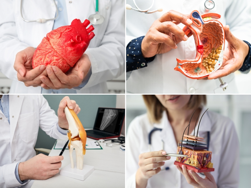 Lợi ích chung của rau củ quả màu trắng