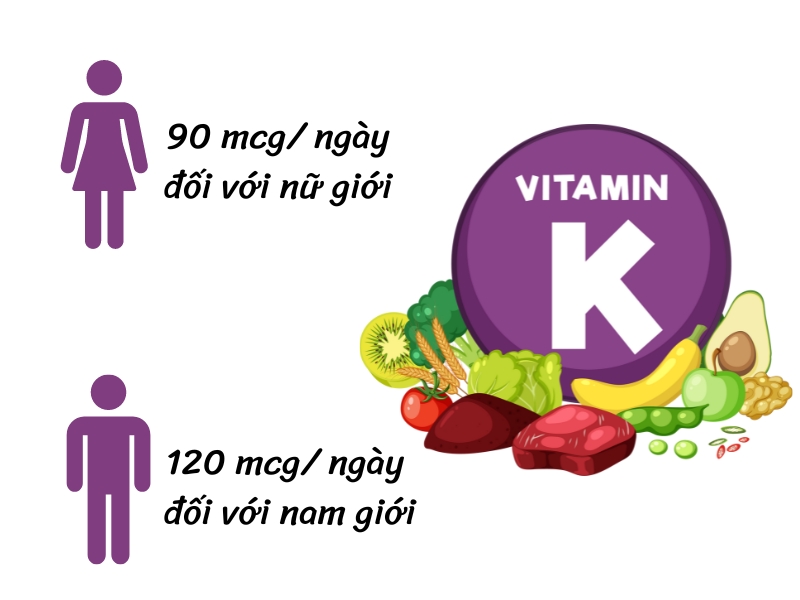 Các tác hại khi thiếu hụt vitamin K 