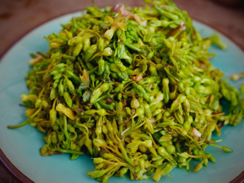 Bông thiên lý xào tỏi