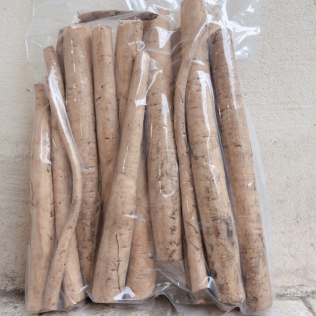 Củ ngưu báng tươi đóng gói