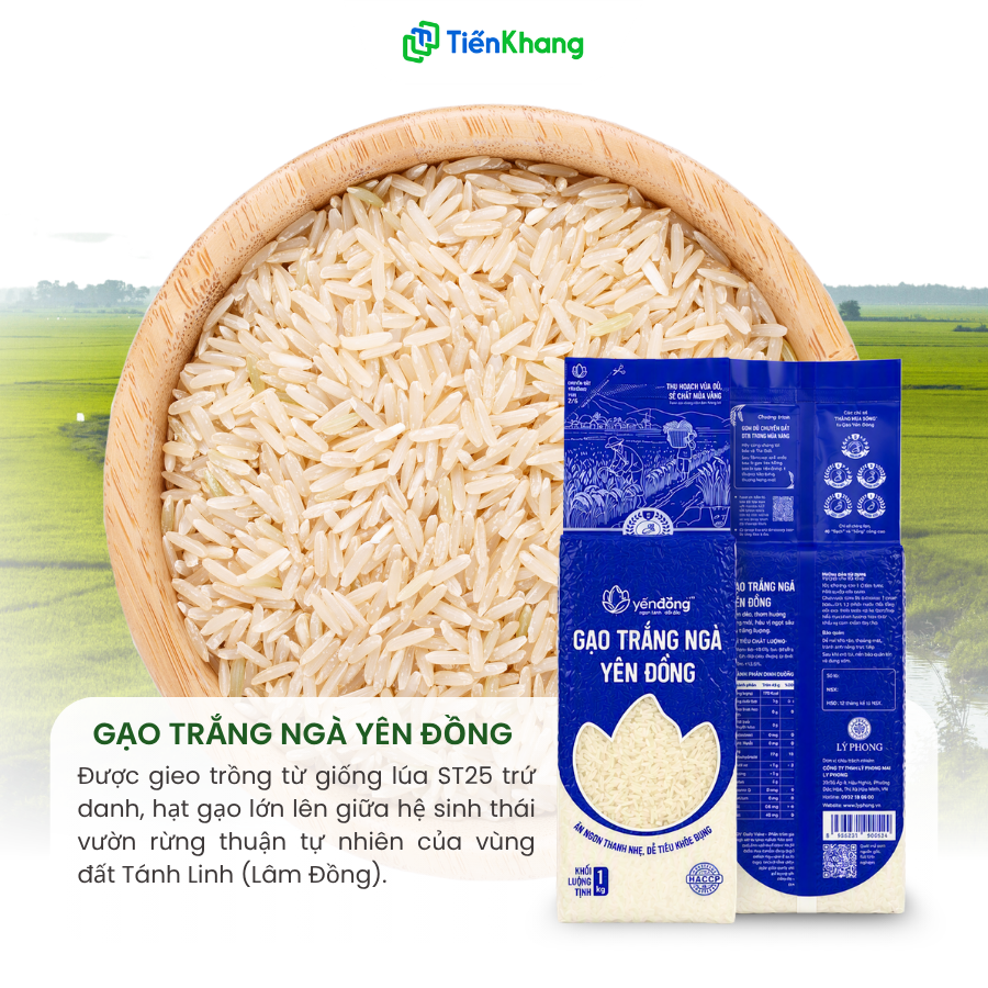 Gạo trắng ngà Yên Đồng được trồng tại Tánh Linh (Lâm Đồng)