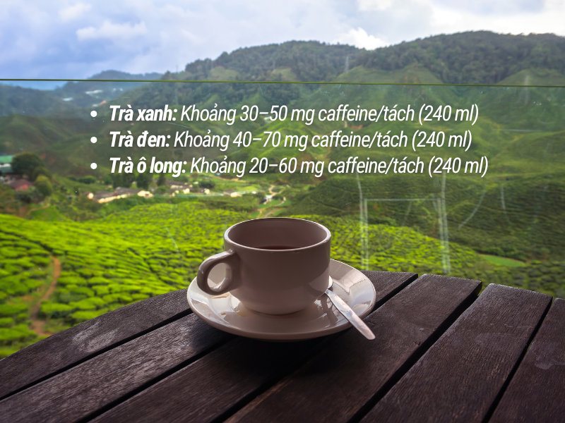 Hàm lượng Caffeine cao