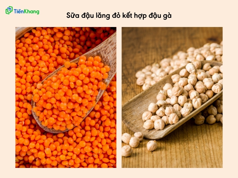 Sữa đậu lăng đỏ kết hợp với đậu gà