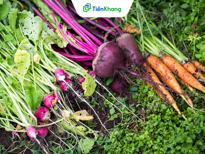 Rau củ vẫn phát triển sau khi được thu hoạch