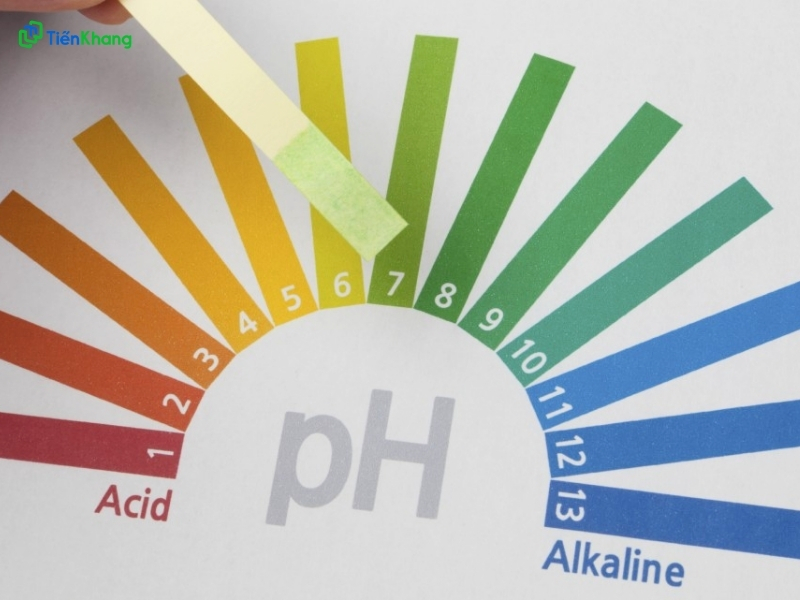 Chất kiềm là gì?