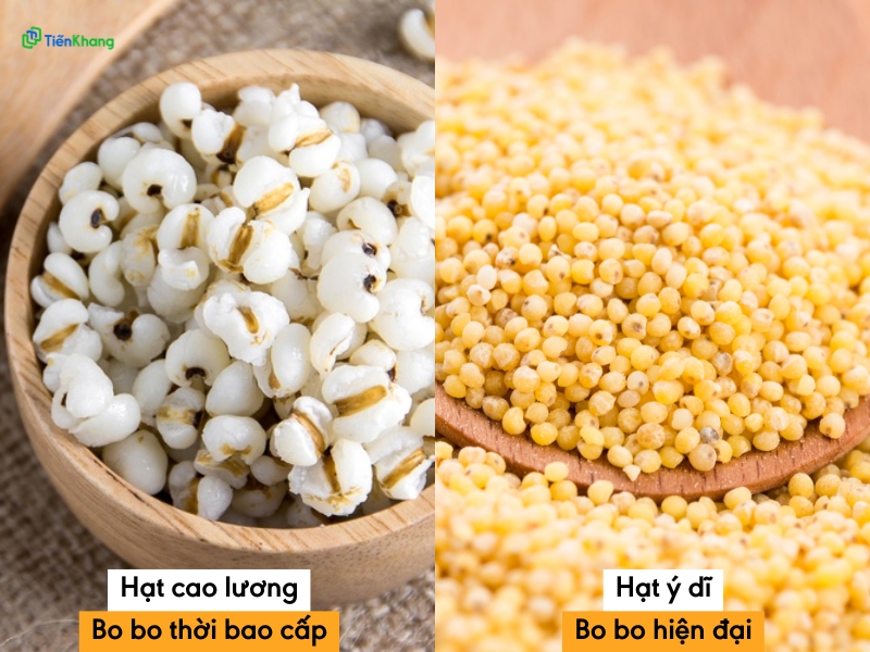 So sánh hạt bo bo thời bao cấp và hạt bo bo hiện đại