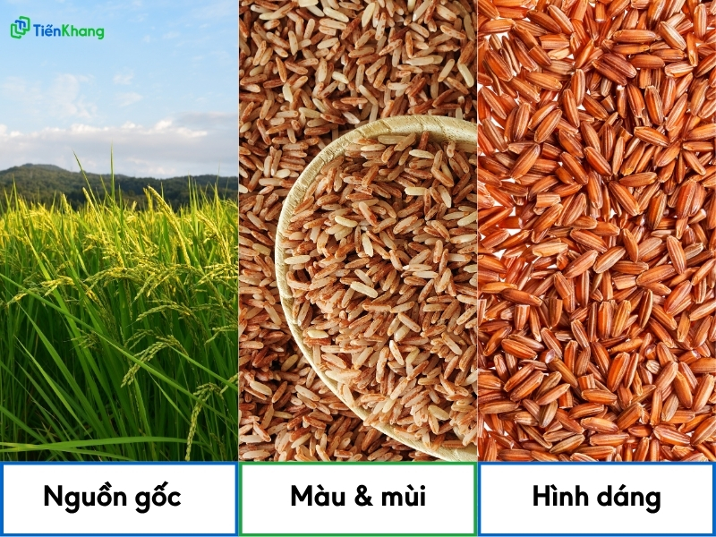 Hình 5: Cách chọn gạo lứt chuẩn thực dưỡng