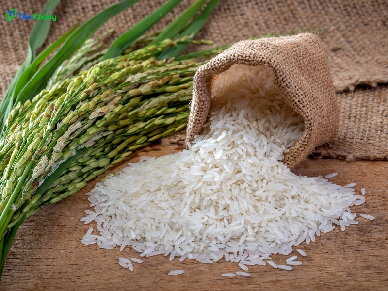 Gạo là nguồn lương thực chính