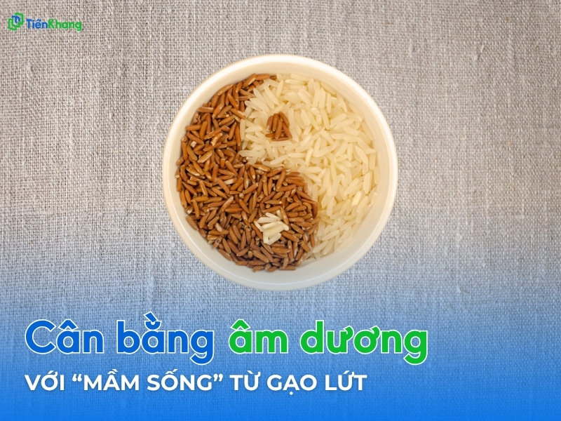 Hình 3: Gạo lứt giúp cân bằng âm dương cho cơ thể