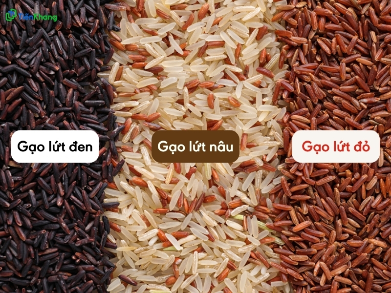 Hình 2: Phân loại gạo lứt theo màu sắc