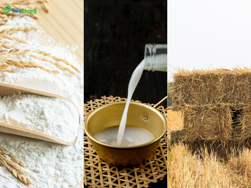 Vai trò của gạo trong ngành công nghiệp chế biến